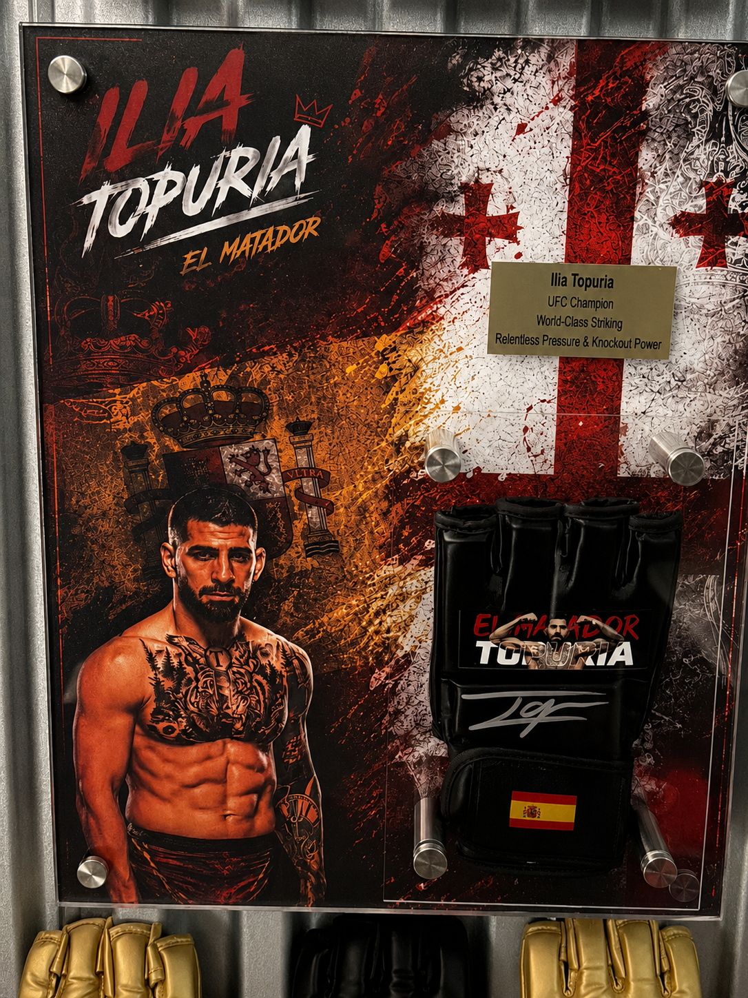 Ilia Topuria Display