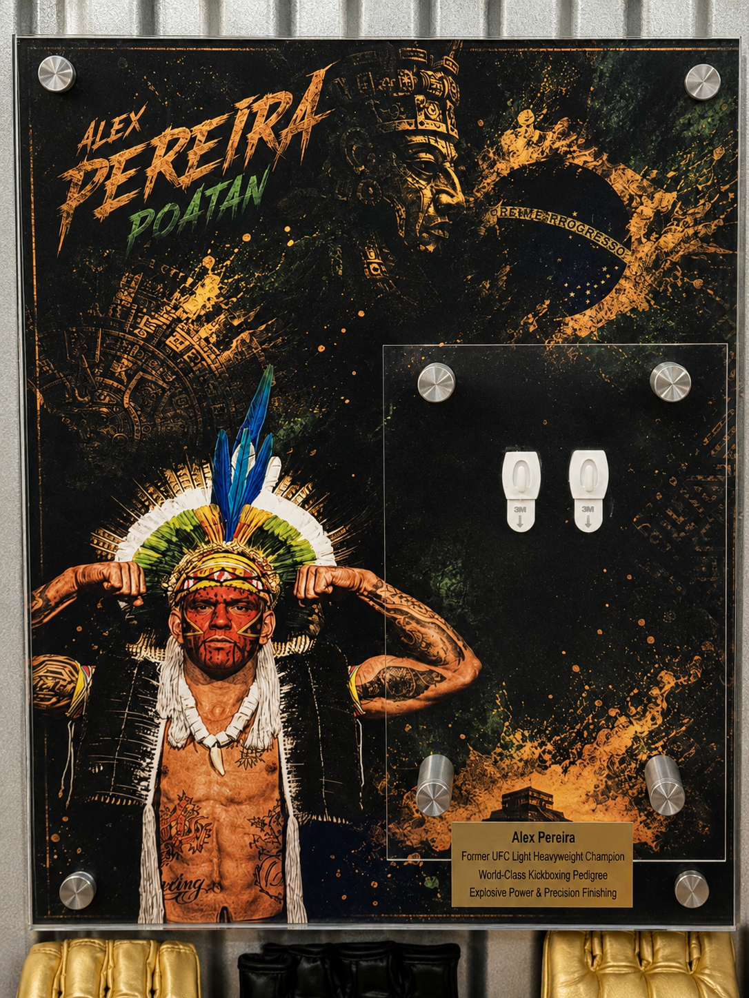 Alex Pereira Artwork Display